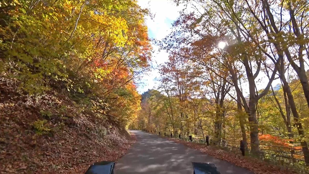御池・樹海ライン 国道352号